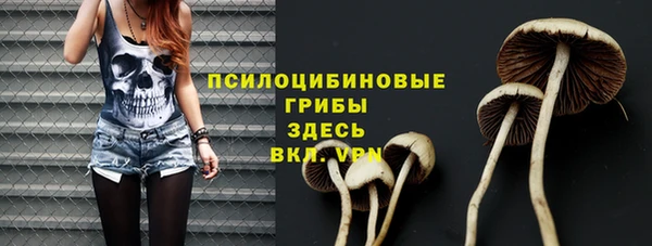 соль ск Нефтекумск